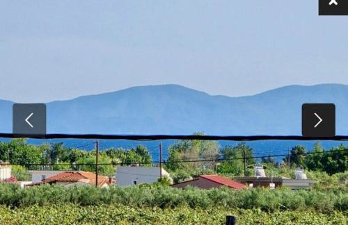 Villa Sophie - Photo 4
