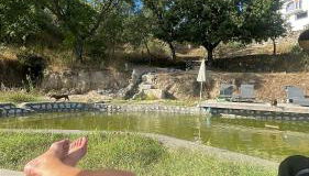 Monkey Tiny Barnhouse with amazing views at ZevariClub! - Foto 4