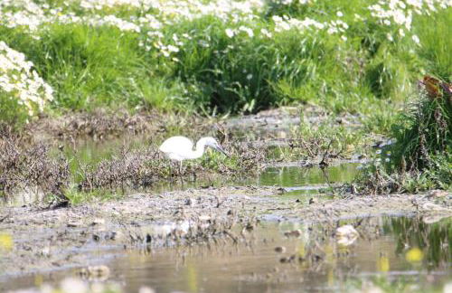 Vista Baglio Grande - Foto 35