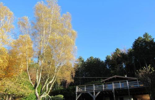 Le gîte du Männele - Into my Hardt - Photo 18