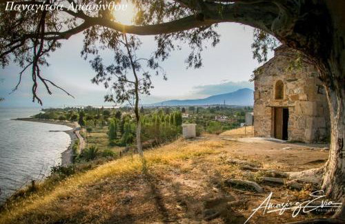 Seaside Villa AndroNikos (Evia Island) - Foto 50