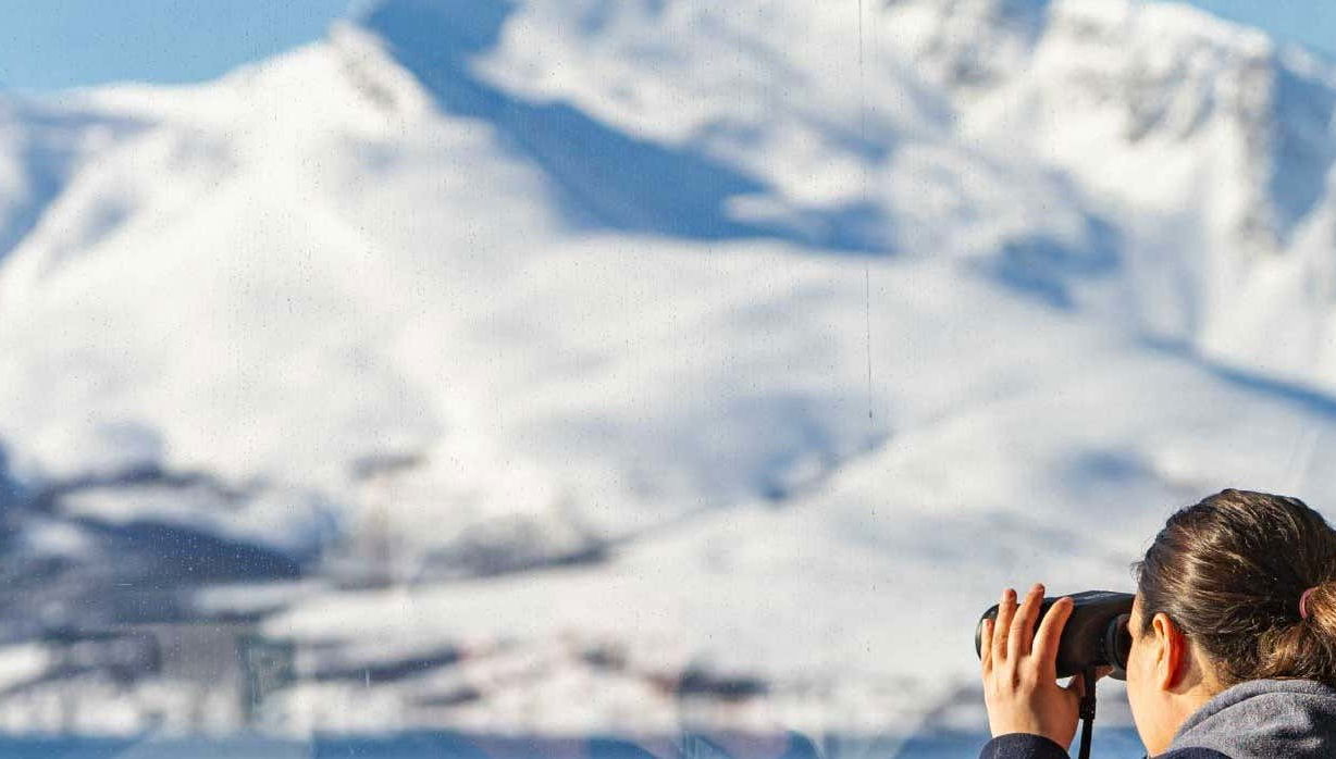 Crucero por los fiordos árticos