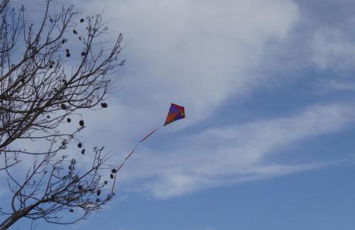 Casa de Campo, Quinta do Funchal - Foto 28