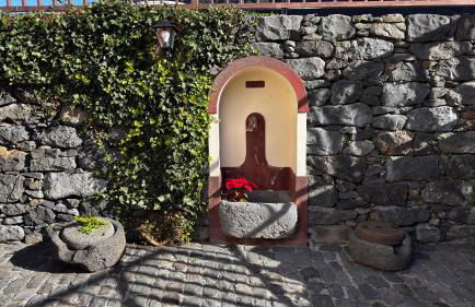 Casa dos Lamaceiros - Foto 18