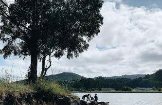 Estudio 33 - Foto 39