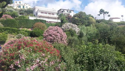 Via dei Ginepri - Photo 5, Garden, Garden view