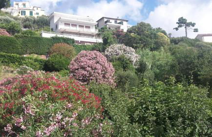 Via dei Ginepri - Photo 5