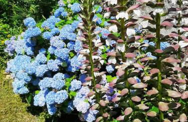 Gîte la petite maison - Foto 4