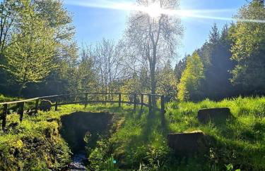 Haus Astenblick in Winterberg Ferienwohnungen mit Gastraum Wanderveranstaltungen und Familienfeiern - Foto 16