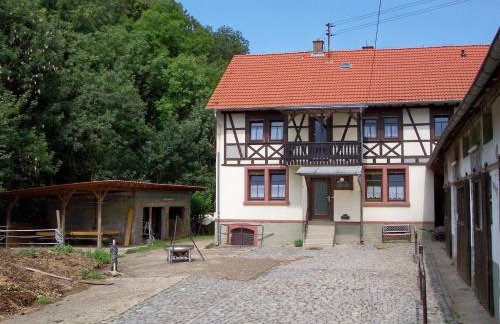 Pferdehof Dörsam - Photo 1