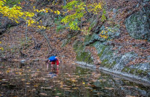 Overlook at Sleepy Creek -- Sleepy Creek Frontage, Secluded, Grill, Fire Pit, Deck, Family Friendly, Game Room, Fishing, Hammock, View, Fireplace - Foto 74