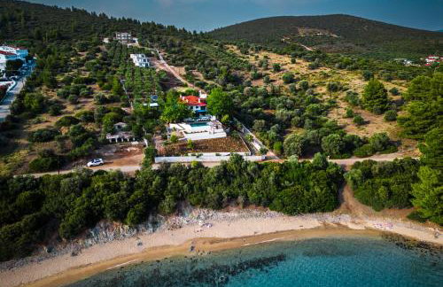 SEA VIEW Ranch By the Sea - Photo 7