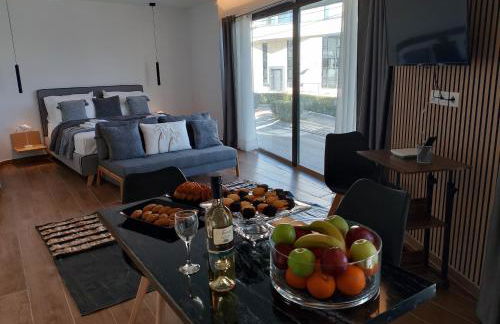 Rafina Studio apartments kondilia - Foto 19