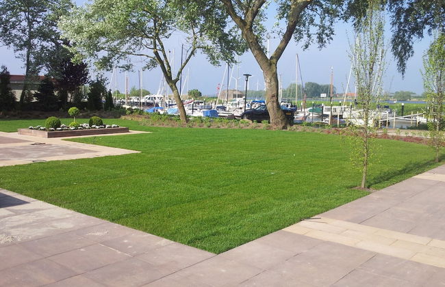 Modern Chalet not far From the Biesbosch - Foto 25