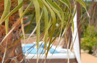 Es Pas Formentera Agroturismo - Foto 58