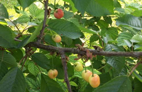 La Maisonnette de Senlis - Foto 31