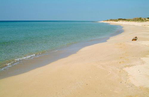 VILLA ROSA MEDITERRANEA - Foto 58