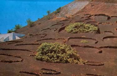 Casa victoria - Foto 54