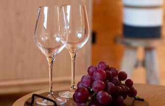 Okno na winnicę - Foto 38