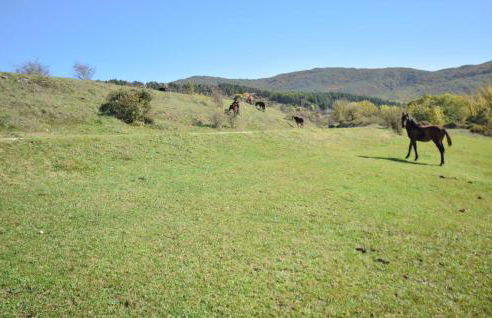 4 Bedroom Stunning Home In Montenero Val Cocchiar - Foto 23