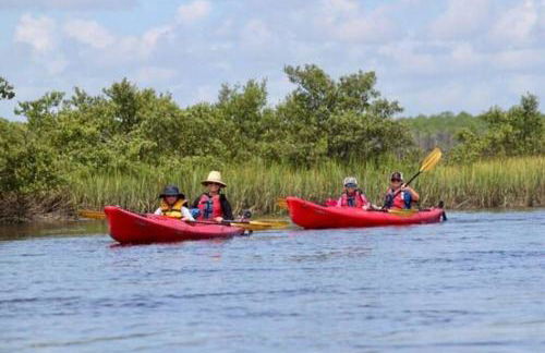 Retreat at Hammock Dunes Beach, Palm Coast - Foto 54