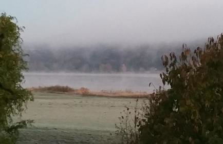 Elbe Ferien - Foto 61