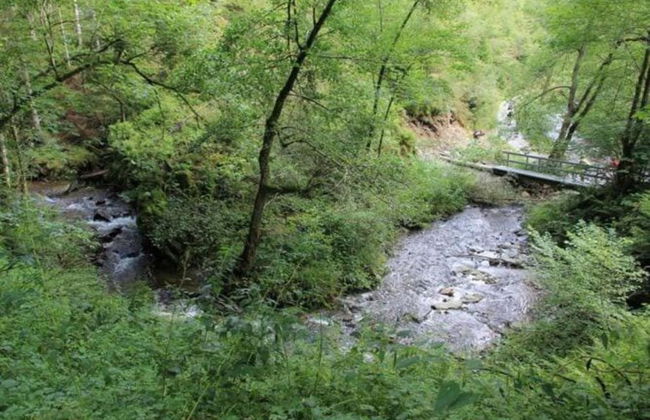 Jalhay Pondside Forest Home - Foto 36