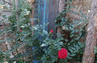 L'Embellie un gîte tout confort et cocooning - Foto 12