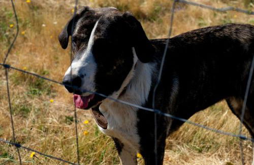 Quinta do Chãozinho - Foto 28