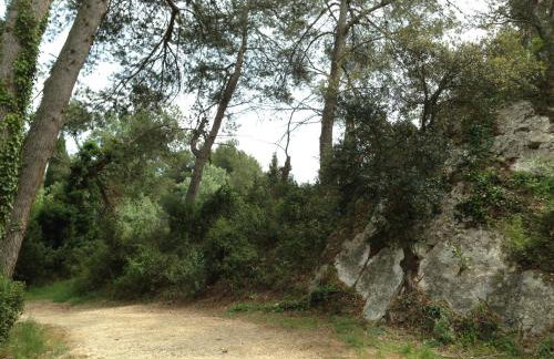 Cabane de la leque - Foto 16