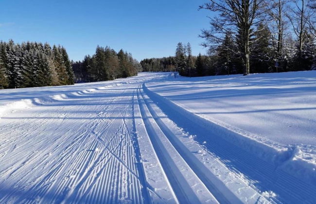 Familienurlaub im Bayerischen Wald - Foto 33
