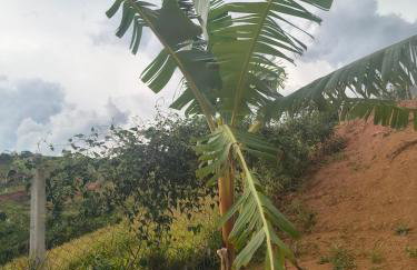 Rancho do andi - Foto 12