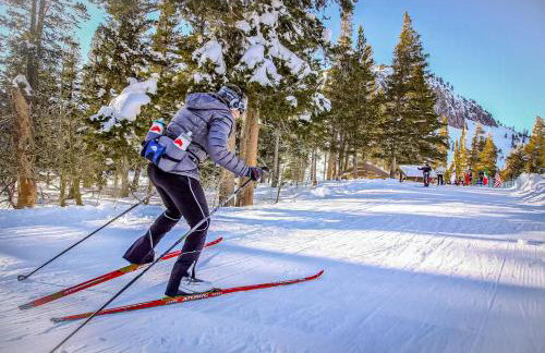 Mammoth Green 101 - Photo 41