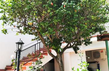 LudoMar Country Residence - Rooms & Apartments - Foto 32