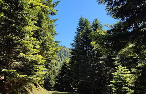 Grand appartement en RDC Vallée de Campan - Foto 20