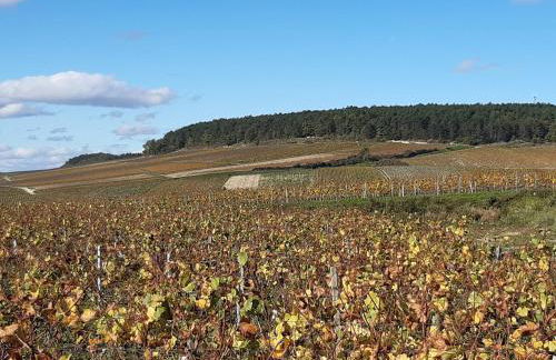 Noxie Guest Home - Foto 6