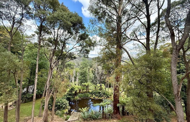 Forget Me Not Cottages - Foto 61