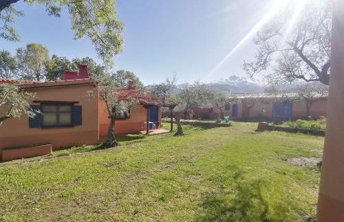 Aldea Vetonia Alojamientos con Encanto Parque de Mascotas-NO SE ACEPTAN EN JULIO Y AGOSTO- Varias zonas infantiles y deportivas "encuentranos y reserva para verano" - Foto 77