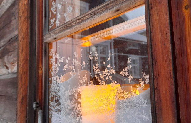 LAURI Historical Log House Manor - Photo 51