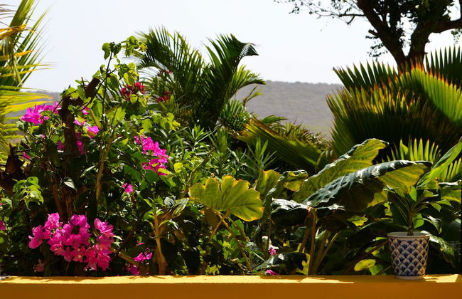 Jan Kok Lodges - Foto 58