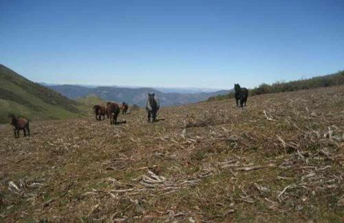 Apartamentos Valdecarzana Senda del Oso - Foto 9