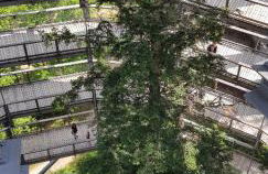 Ferienwohnung Wildgatter - Photo 38