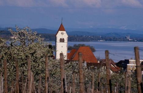 Appartements Bank Am See - Foto 18