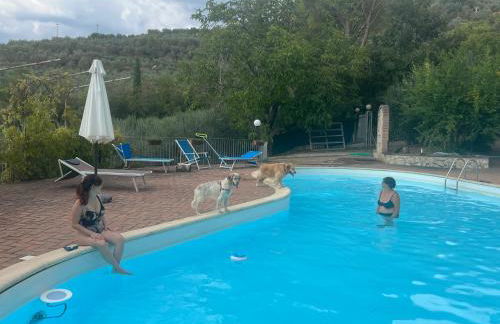 SetterHouseAgriHotel - Photo 16