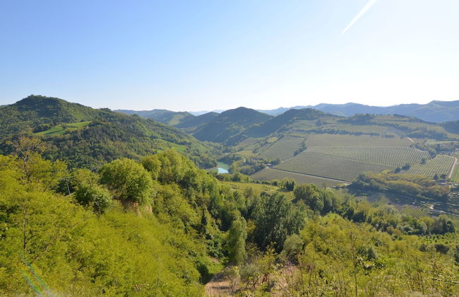 Heart of Emilia-romagna Apartment - Foto 40