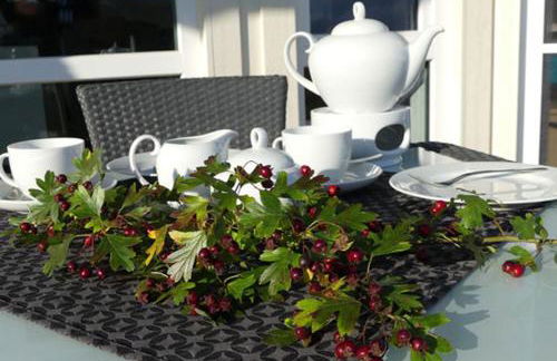 Dänische Ferienhäuser am Salzhaff Haus Pacific - Foto 16