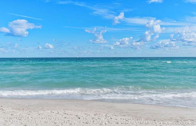 Walnut By The Sea - Photo 24