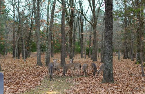 Tahlequah Duplex with Screened-in Porch and Fire Pit! - Foto 33