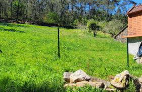 Casa Pandeiras - Foto 25