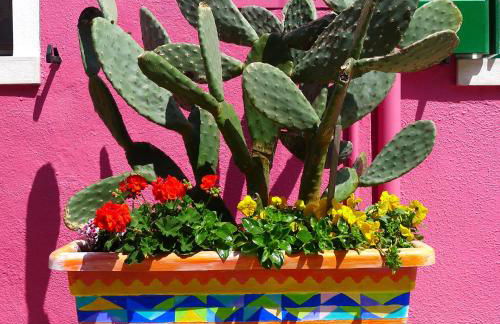 Night Galleria holiday home - bed & art in Burano - the pink house - Photo 36